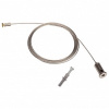 ARLT_018683
