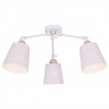 TPL_TL1154-3D