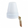 ELK_a030064