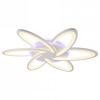 AMBR_FA541