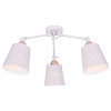 TPL_TL1154-3D