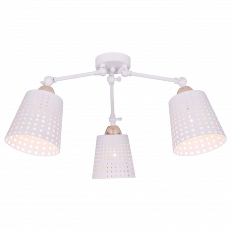 TPL_TL1154-3D