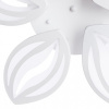 AR_A1098PL-5WH