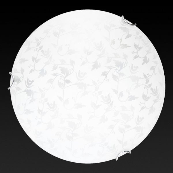TPL_TL9281Y-00WH