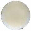 TPL_TL9621Y-00WH