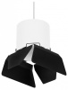 LS_RP3486487