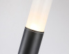 AMBR_ST2459