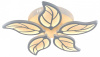 ESC_10214_5LED
