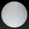 TPL_TL9521Y-00WH