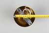 AP_APL