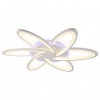 AMBR_FA541