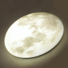 SN_3084_DL