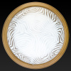 TPL_TL9260Y-00OA