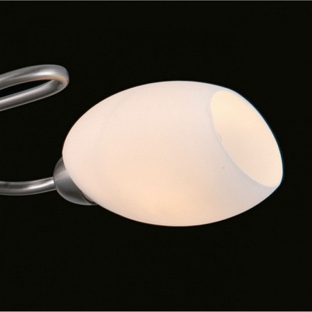 MW_267014503