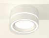 AMBR_XS8101018