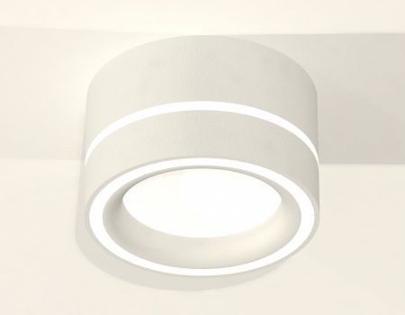 AMBR_XS8101018