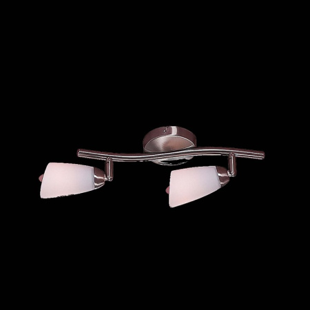 CL501521