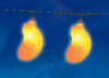 UL_UL-00003393
