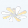 LT_Miracoli_201