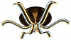 AMBR_FL144