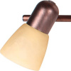 TPL_TL1235Y-03AB