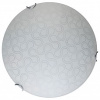 TPL_TL9521Y-00WH