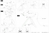 EG_49618