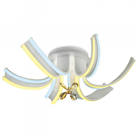 AMBR_FL146