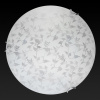 TPL_TL9281Y-00WH