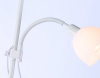 AMBR_TR97622