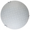 TPL_TL9521Y-00WH
