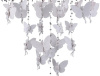 FV_1165-6PC
