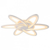 AMBR_FA541