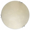 TPL_TL9641Y-00WH