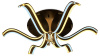 AMBR_FL144