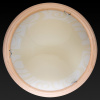 TPL_TL9620Y-00PN