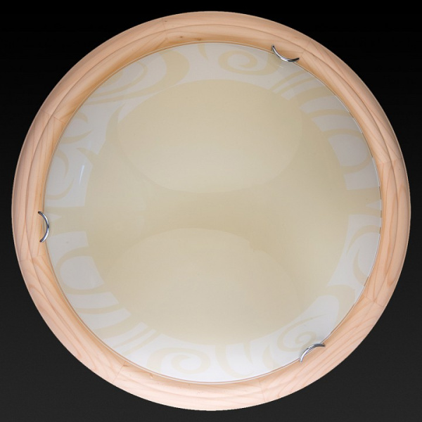 TPL_TL9620Y-00PN