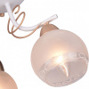 TPL_TL3790X-03WH