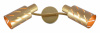ESC_666_2A