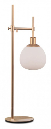 MY_MOD221-TL-01-G
