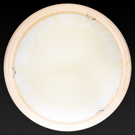 TPL_TL9620Y-00PN