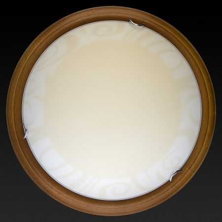 TPL_TL9620Y-00OA