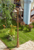 ELK_a031930