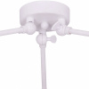 TPL_TL1154-3D