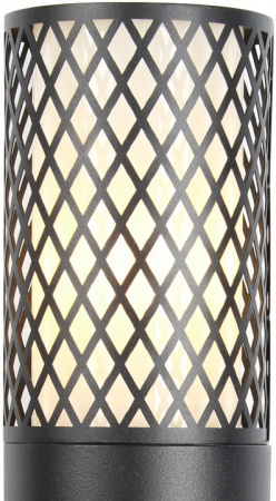 FV_3019-1W