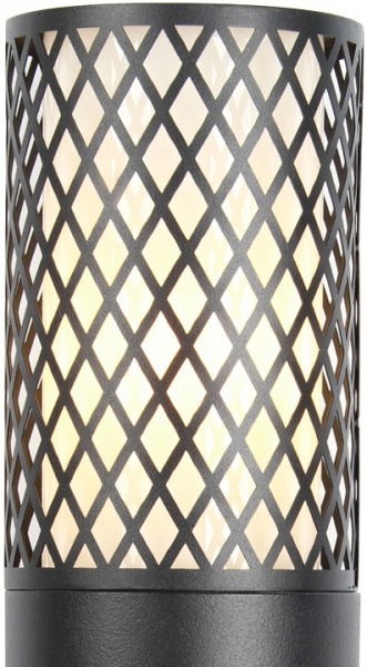 FV_3019-1W
