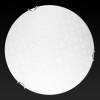 TPL_TL9521Y-00WH