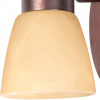 TPL_TL1235Y-01AB
