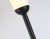 AMBR_ST2095