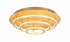 GB_49252-100G